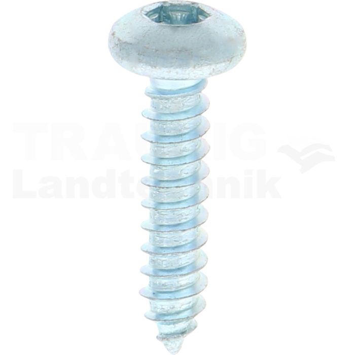 Linsen-Blechschraube 4,8x22 DIN 7981 Linsen-Blechschraube 4,8x22 DIN 7981
