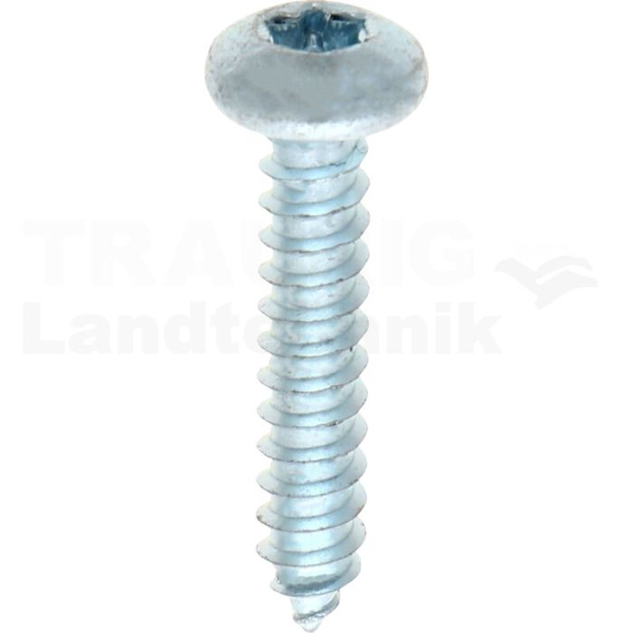 Linsen-Blechschraube 4,8x25 DIN 7981 Linsen-Blechschraube 4,8x25 DIN 7981