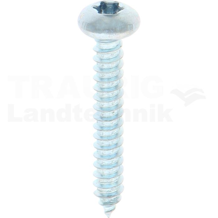 Linsen-Blechschraube 4,8x32 DIN 7981