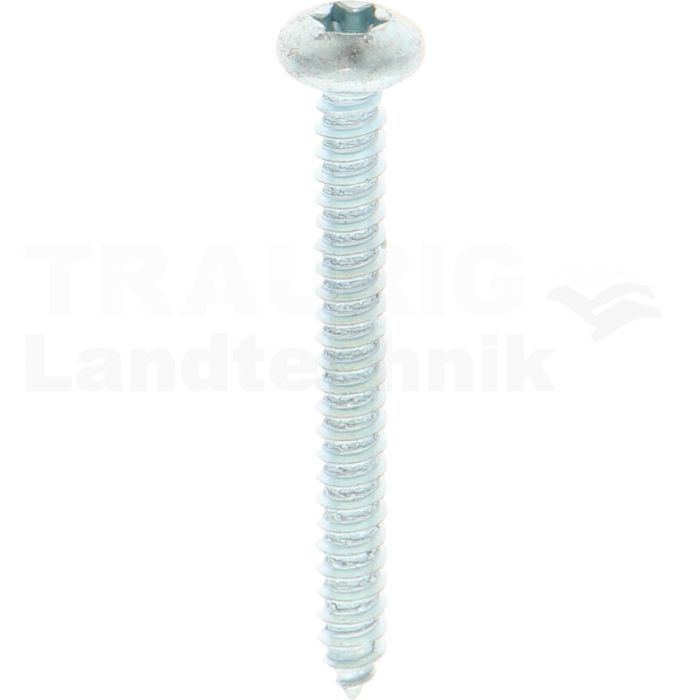 Linsen-Blechschraube 4,8x45 DIN 7981 Linsen-Blechschraube 4,8x45 DIN 7981