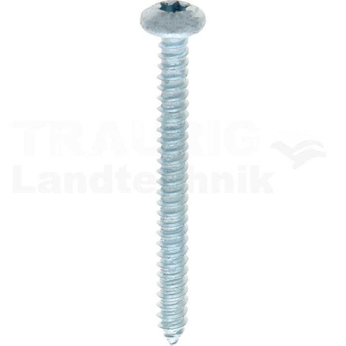 Linsen-Blechschraube 4,8x50 DIN 7981 Linsen-Blechschraube 4,8x50 DIN 7981