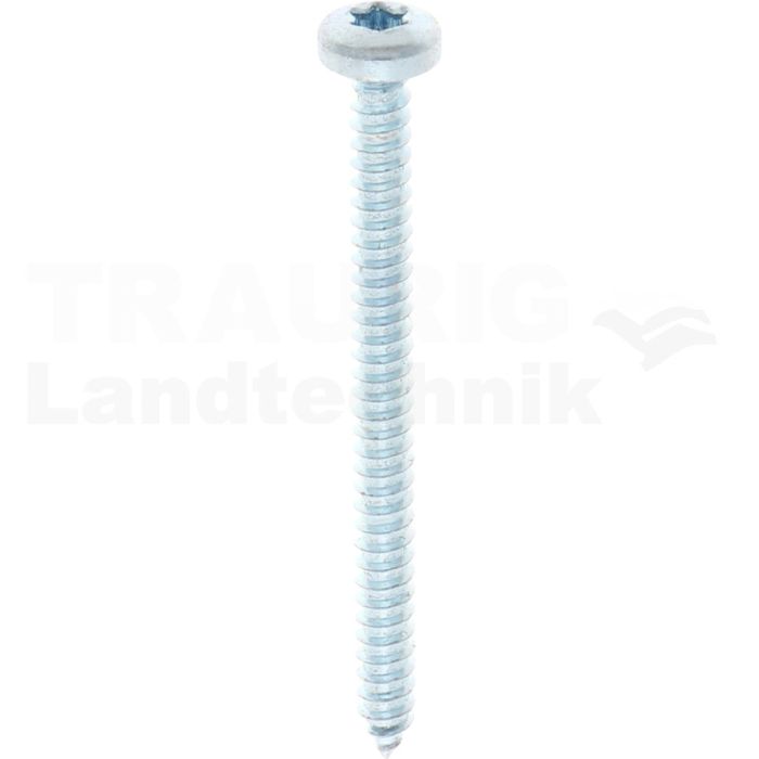 Linsen-Blechschraube 4,8x60 DIN 7981