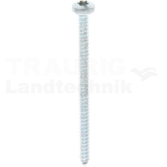 Linsen-Blechschraube 4,8x70 DIN 7981