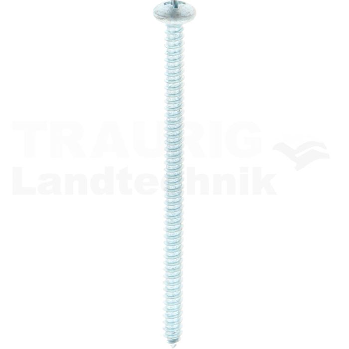 Linsen-Blechschraube 4,8x80 DIN 7981