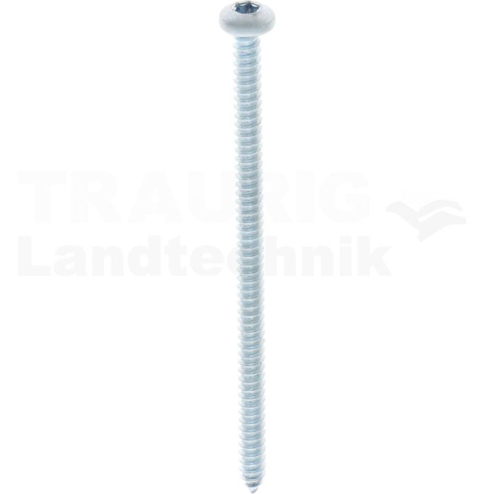 Linsen-Blechschraube 4,8x90 DIN 7981