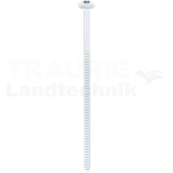 Linsen-Blechschraube 4,8x100 DIN 7981 Linsen-Blechschraube 4,8x100 DIN 7981