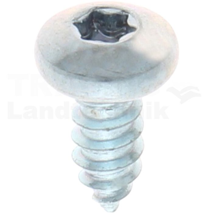 Linsen-Blechschraube 5,5x13 DIN 7981 Linsen-Blechschraube 5,5x13 DIN 7981