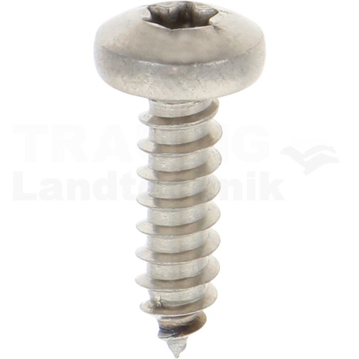 Linsen-Blechschraube 5,5x19 DIN 7981