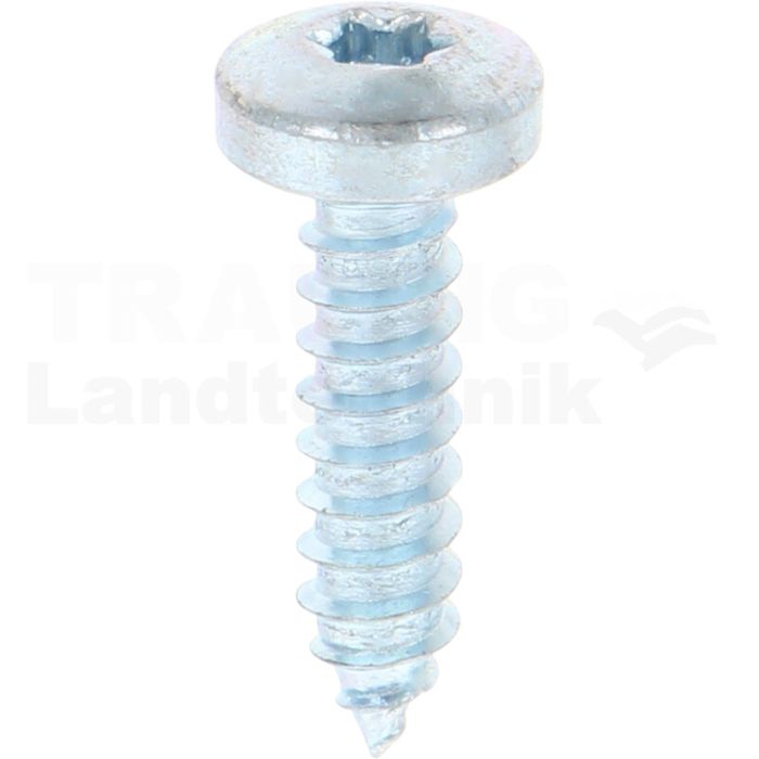 Linsen-Blechschraube 5,5x22 DIN 7981 Linsen-Blechschraube 5,5x22 DIN 7981