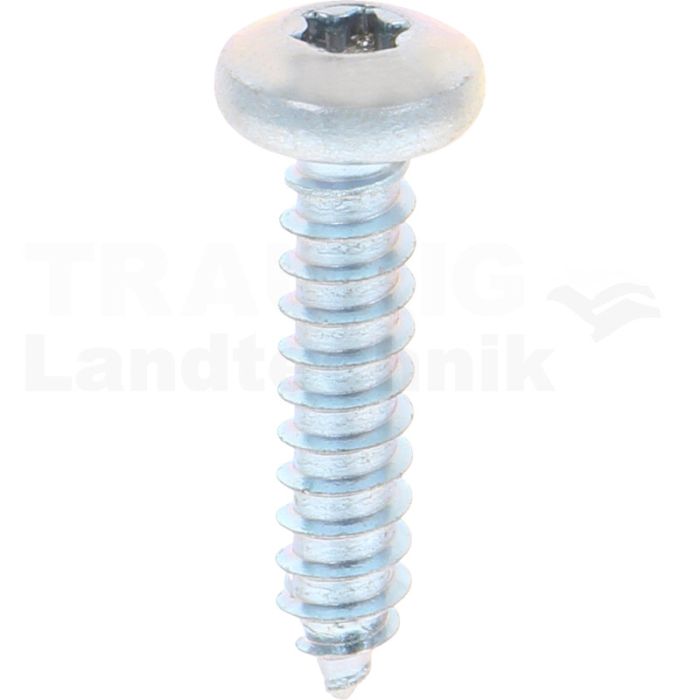 Linsen-Blechschraube 5,5x25 DIN 7981 Linsen-Blechschraube 5,5x25 DIN 7981