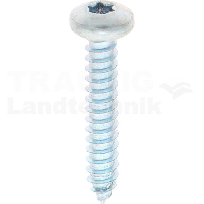 Linsen-Blechschraube 5,5x32 DIN 7981 Linsen-Blechschraube 5,5x32 DIN 7981