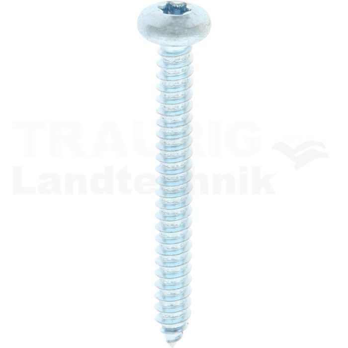 Linsen-Blechschraube 5,5x50 DIN 7981