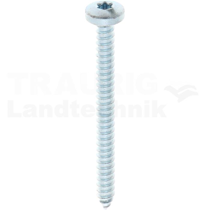 Linsen-Blechschraube 5,5x60 DIN 7981 Linsen-Blechschraube 5,5x60 DIN 7981