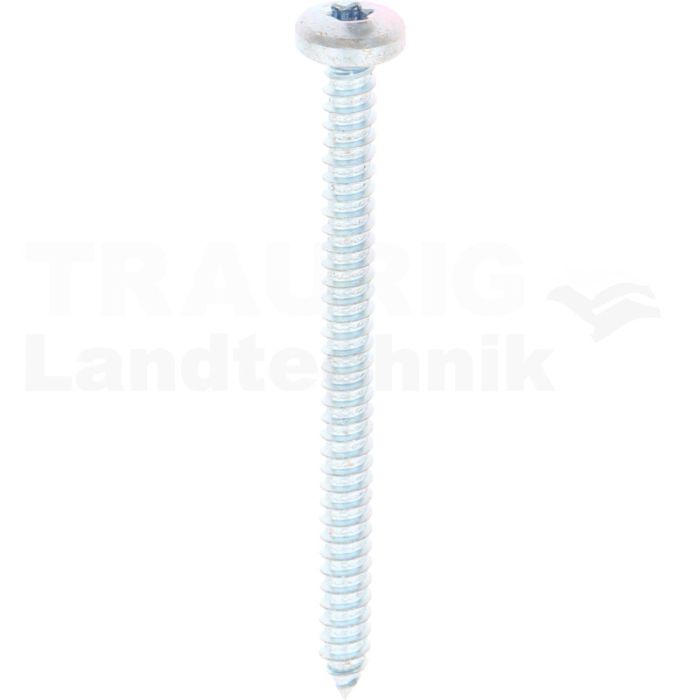 Linsen-Blechschraube 5,5x70 DIN 7981
