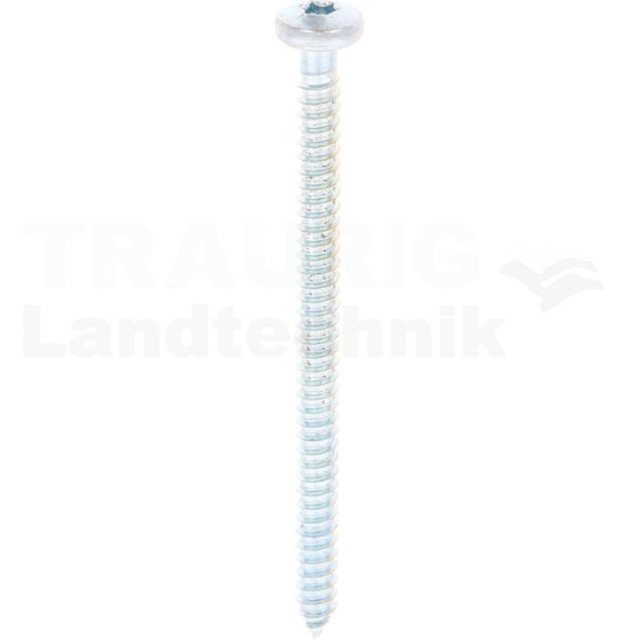 Linsen-Blechschraube 5,5x80 DIN 7981 Linsen-Blechschraube 5,5x80 DIN 7981