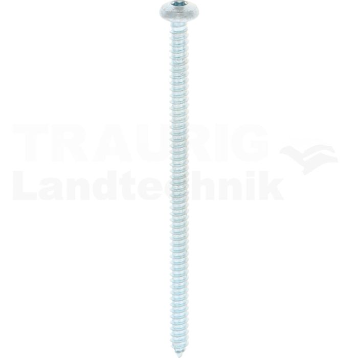 Linsen-Blechschraube 5,5x100 DIN 7981 Linsen-Blechschraube 5,5x100 DIN 7981