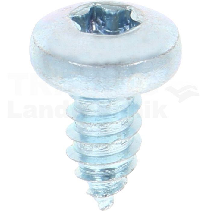 Linsen-Blechschraube 6,3x13 DIN 7981