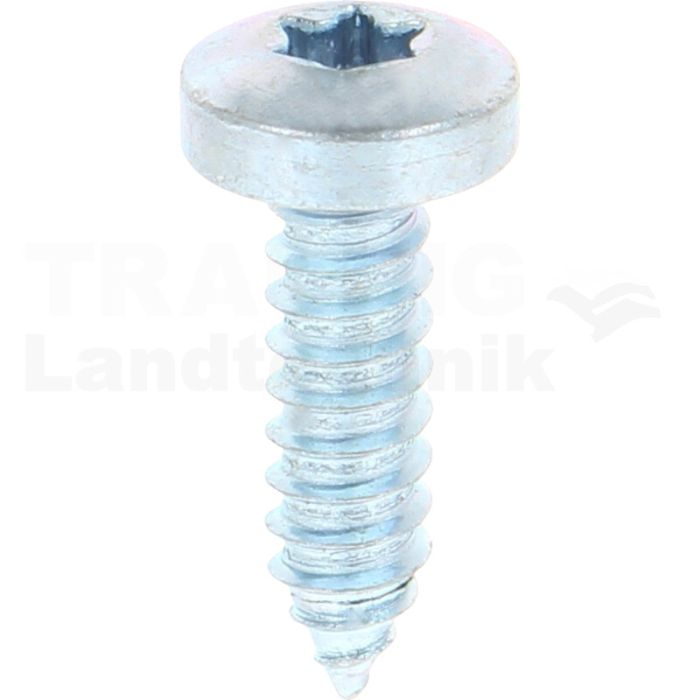 Linsen-Blechschraube 6,3x22 DIN 7981 Linsen-Blechschraube 6,3x22 DIN 7981