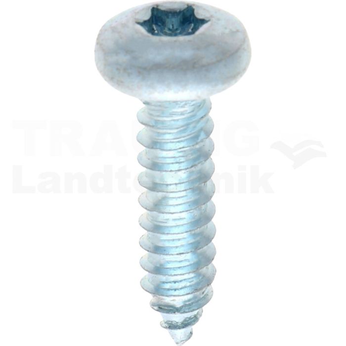 Linsen-Blechschraube 6,3x25 DIN 7981 Linsen-Blechschraube 6,3x25 DIN 7981