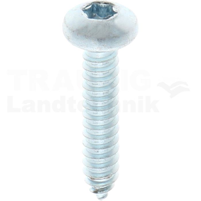 Linsen-Blechschraube 6,3x32 DIN 7981 Linsen-Blechschraube 6,3x32 DIN 7981