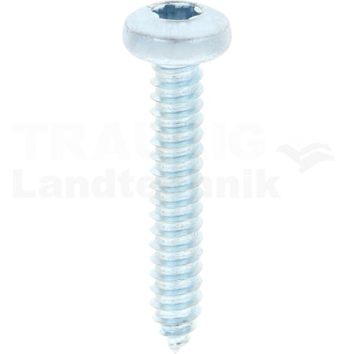 Linsen-Blechschraube 6,3x38 DIN 7981 Linsen-Blechschraube 6,3x38 DIN 7981