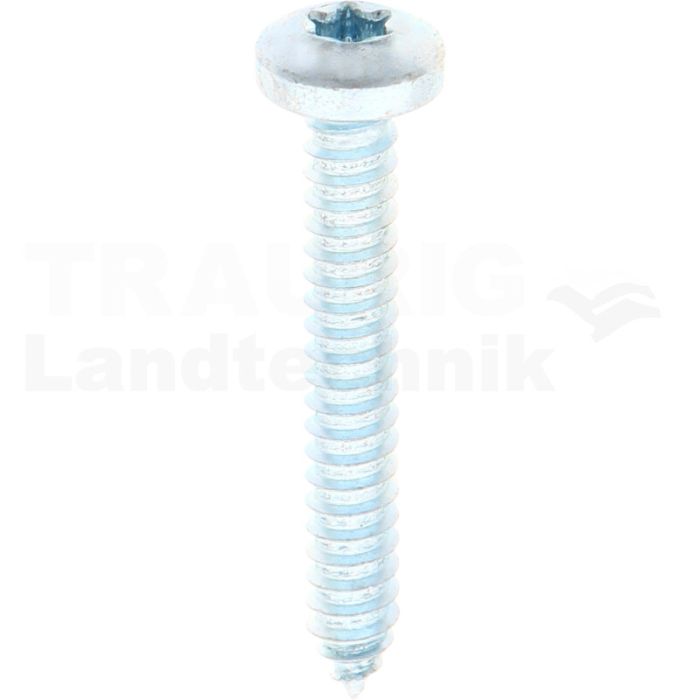 Linsen-Blechschraube 6,3x45 DIN 7981 Linsen-Blechschraube 6,3x45 DIN 7981