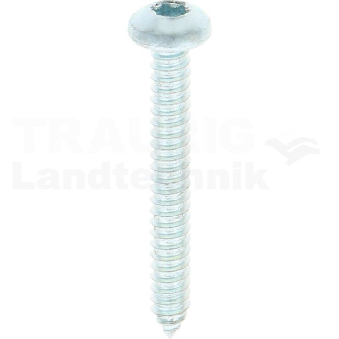 Linsen-Blechschraube 6,3x50 DIN 7981 Linsen-Blechschraube 6,3x50 DIN 7981