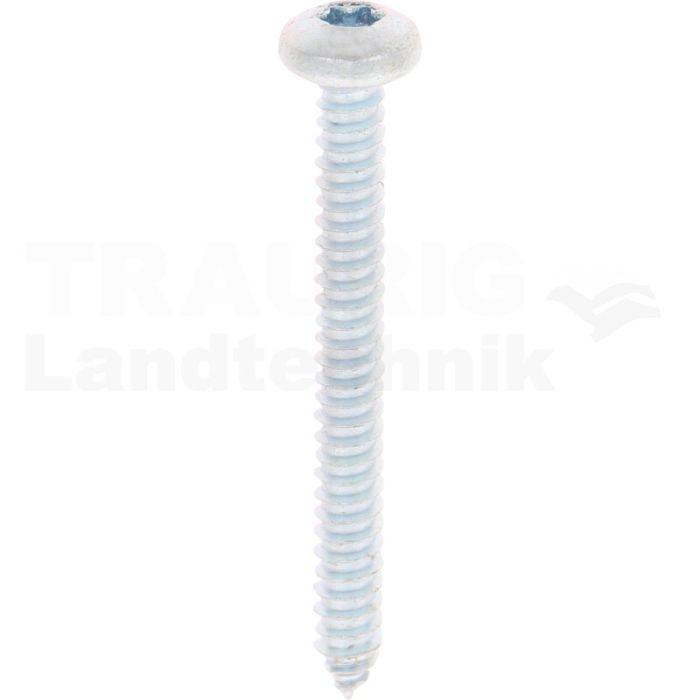 Linsen-Blechschraube 6,3x60 DIN 7981 Linsen-Blechschraube 6,3x60 DIN 7981
