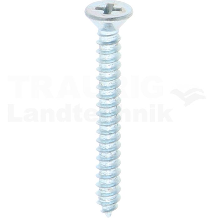 Senk-Blechschraube 2,9x25 DIN 7982