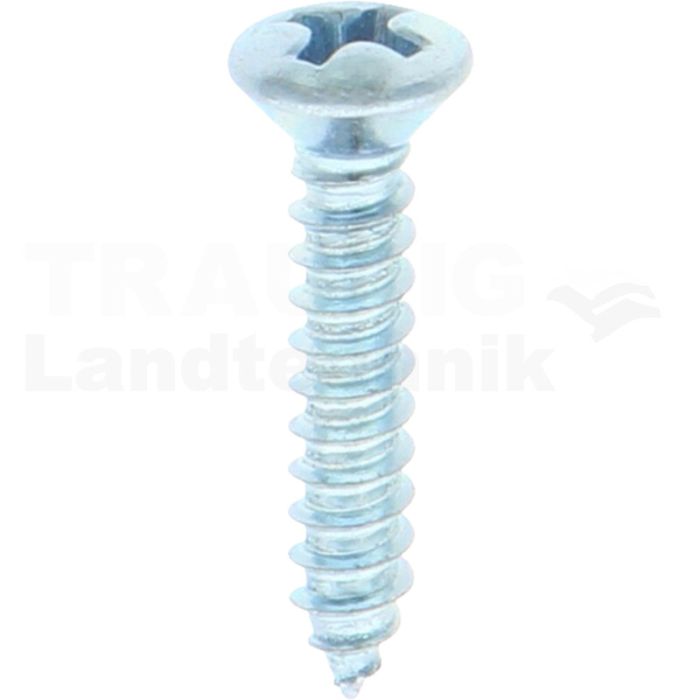 Linsensenk-Blechschraube 3,5x19 DIN 7983 Linsensenk-Blechschraube 3,5x19 DIN 7983