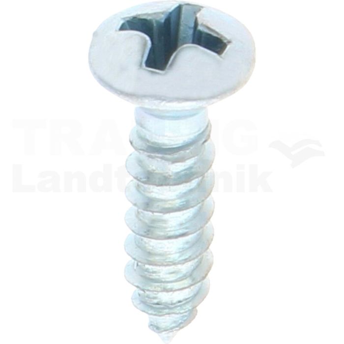 Linsensenk-Blechschraube 3,9x16 DIN 7983