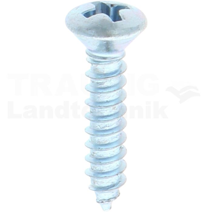 Linsensenk-Blechschraube 3,9x19 DIN 7983