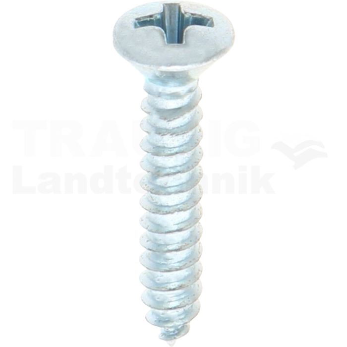 Linsensenk-Blechschraube 3,9x22 DIN 7983