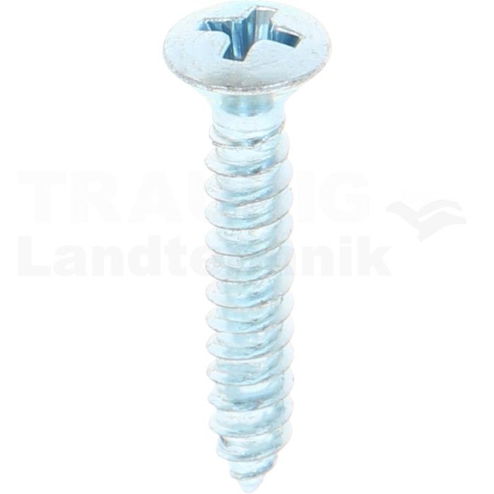 Linsensenk-Blechschraube 4,2x25 DIN 7983 Linsensenk-Blechschraube 4,2x25 DIN 7983