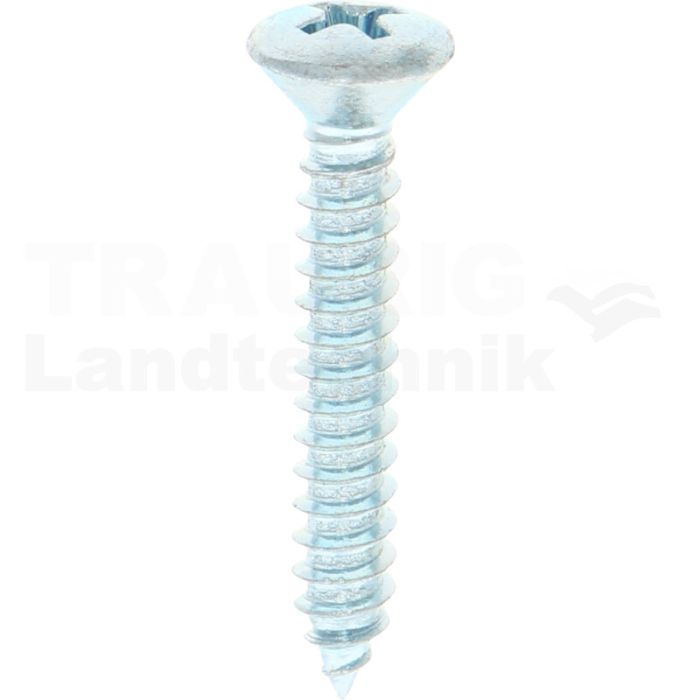Linsensenk-Blechschraube 4,8x32 DIN 7983 Linsensenk-Blechschraube 4,8x32 DIN 7983