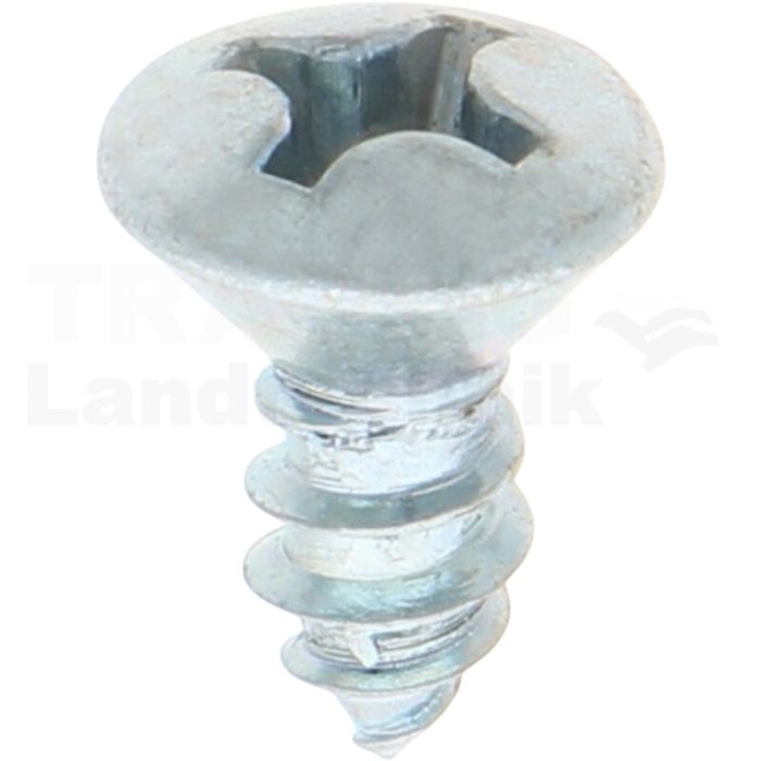 Linsensenk-Blechschraube 5,5x13 DIN 7983 Linsensenk-Blechschraube 5,5x13 DIN 7983