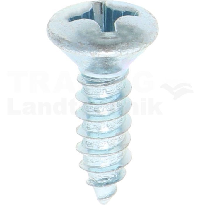 Linsensenk-Blechschraube 5,5x19 DIN 7983