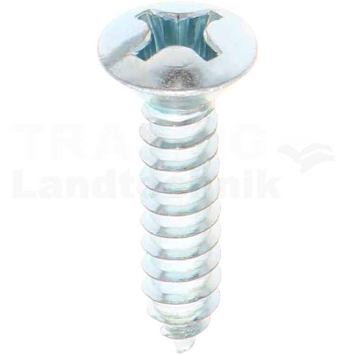 Linsensenk-Blechschraube 5,5x25 DIN 7983