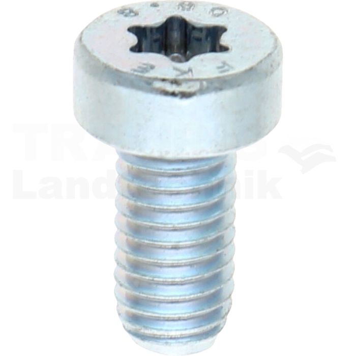 VPE500 Zylinderschraube M5x10 DIN 7984 VPE500 Zylinderschraube M5x10 DIN 7984