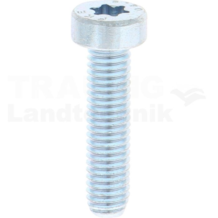 VPE500 Zylinderschraube M5x20 DIN 7984 VPE500 Zylinderschraube M5x20 DIN 7984