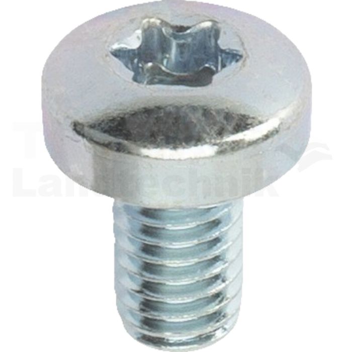 VPE1000 Linsenschraube M6x10 DIN 7985 VPE1000 Linsenschraube M6x10 DIN 7985