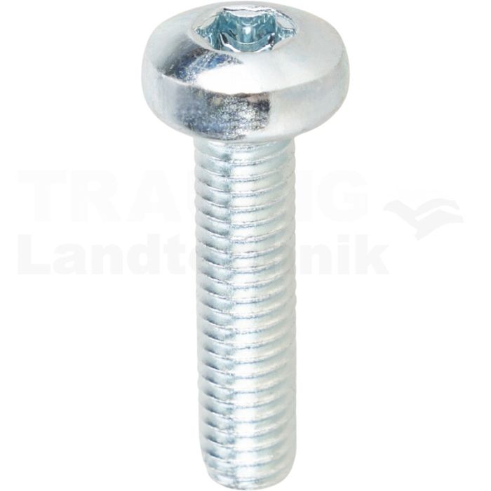 VPE500 Linsenschraube M6x25 DIN 7985 VPE500 Linsenschraube M6x25 DIN 7985