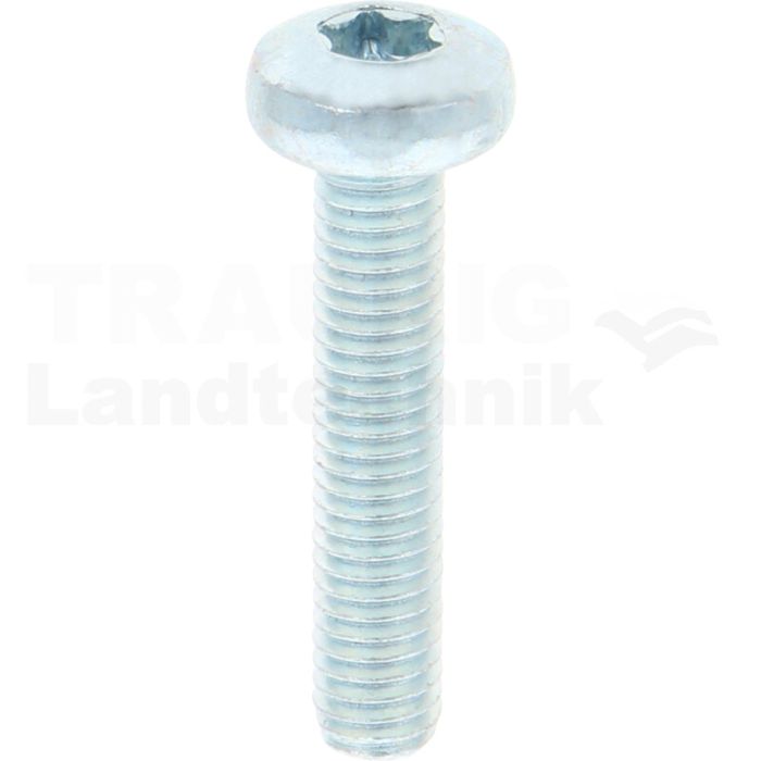VPE500 Linsenschraube M6x30 DIN 7985 VPE500 Linsenschraube M6x30 DIN 7985