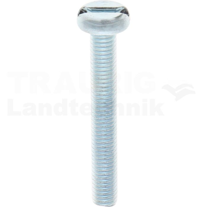 VPE200 Flachkopfschraube M6x45 DIN 85 VPE200 Flachkopfschraube M6x45 DIN 85