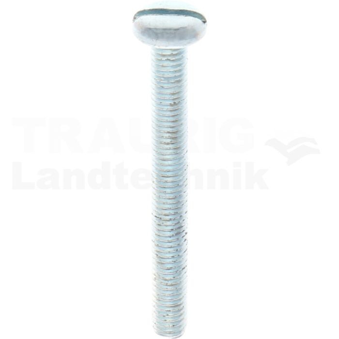 VPE100 Flachkopfschraube M6x55 DIN 85 VPE100 Flachkopfschraube M6x55 DIN 85