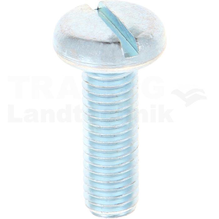 VPE100 Flachkopfschraube M8x25 DIN 85 VPE100 Flachkopfschraube M8x25 DIN 85