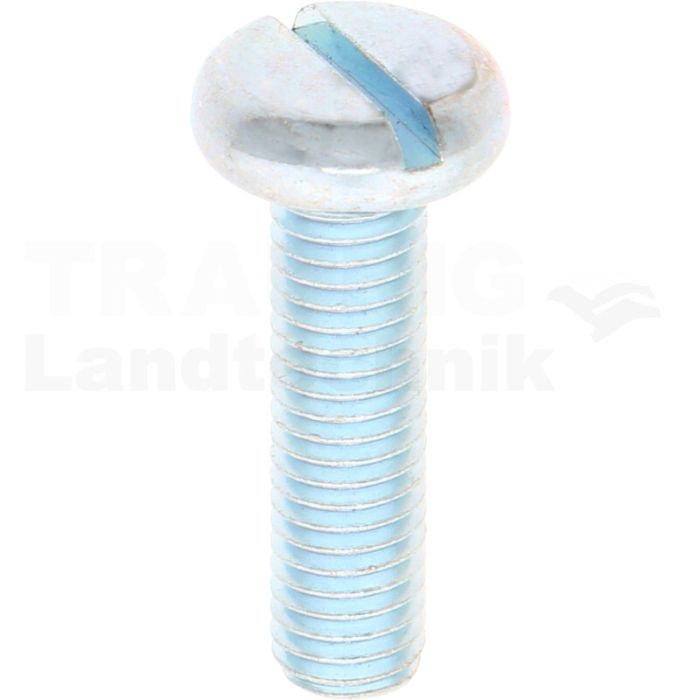 VPE100 Flachkopfschraube M8x30 DIN 85 VPE100 Flachkopfschraube M8x30 DIN 85