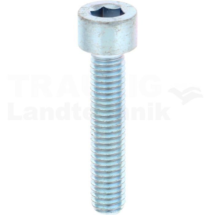 VPE100 Zylinderschraube M6x30 DIN 912 VPE100 Zylinderschraube M6x30 DIN 912