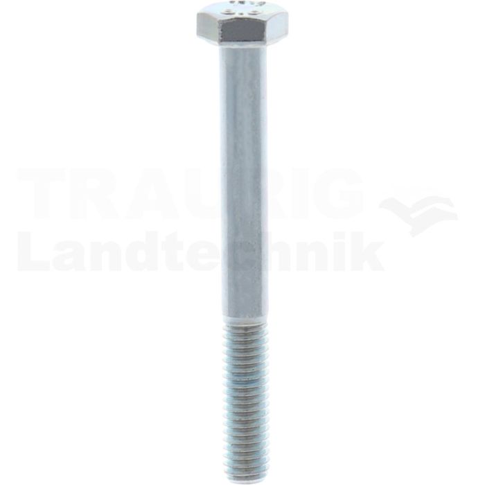 VPE100 Sechskantschraube M6x55 DIN 931