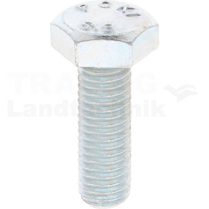 VPE100 Sechskantschraube M10x30 DIN 933